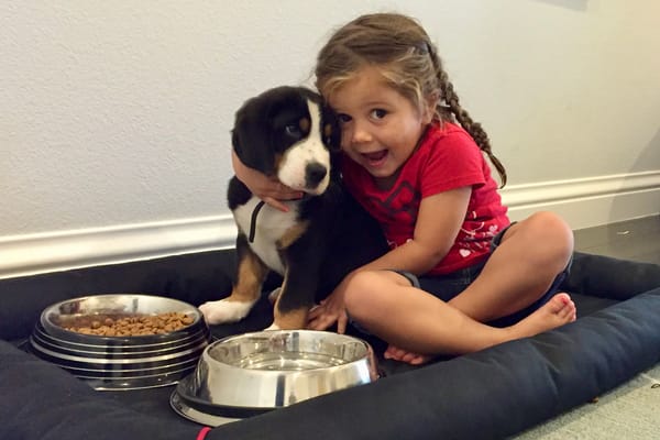 Your Dog is Going To Tell on You